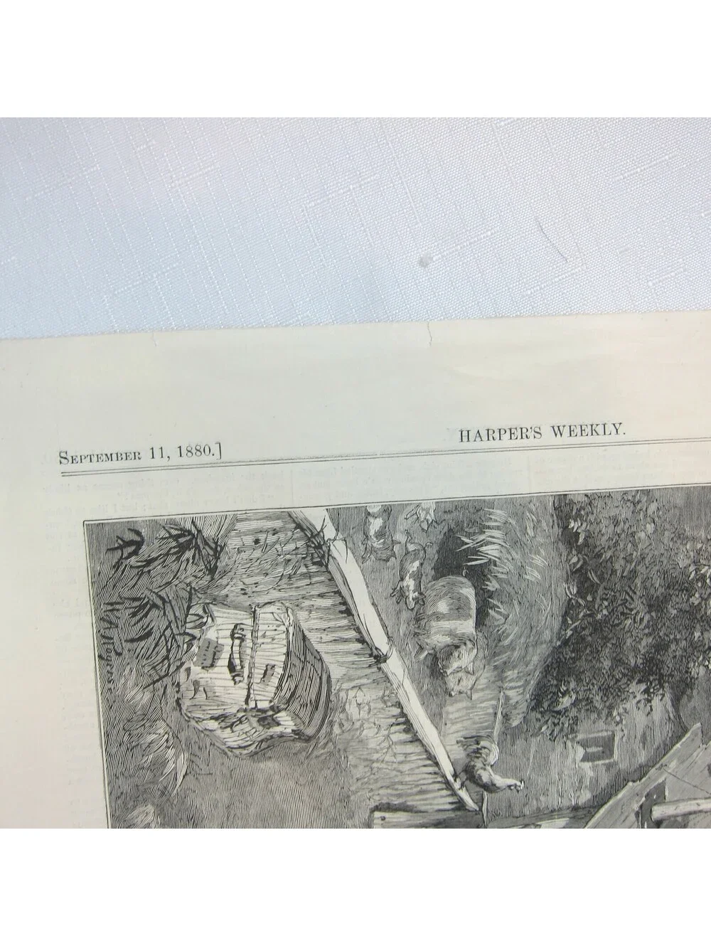 Antique 1880 Print Settlers First Home in Far West, W.A. Rogers, Harper's Weekly
